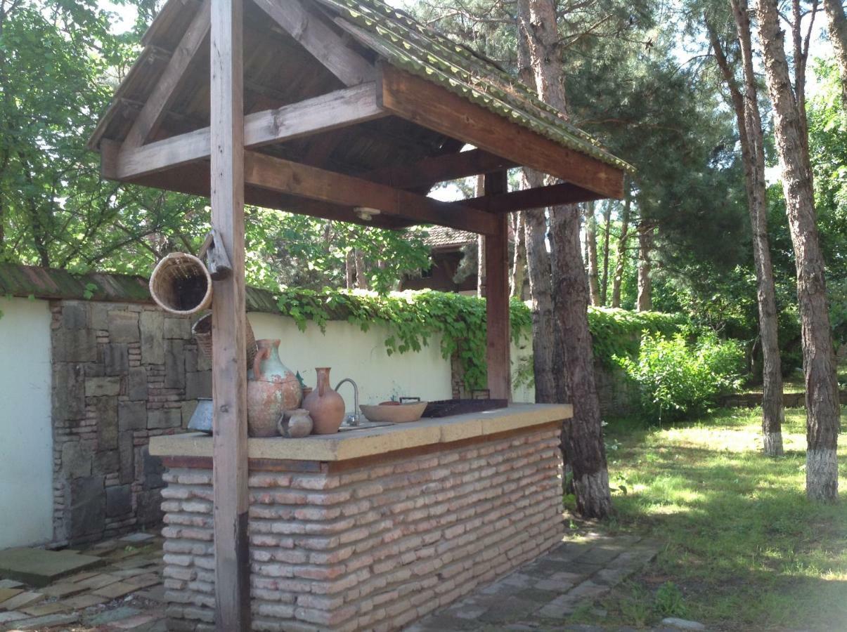 Villa Rare House With Garden Tiflis Exterior foto